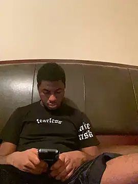 ThickDic28 webcam