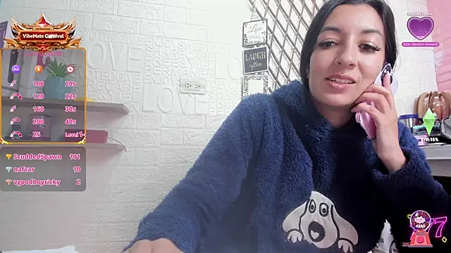 SALOME_KORLAND webcam