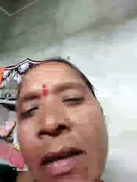 Loomaraj webcam