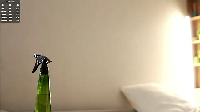 KnittedGoo webcam