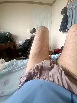 bch1045 webcam