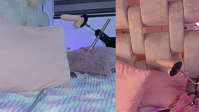 Emilyvalvet webcam
