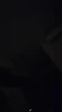 ZeldaSneakyLink