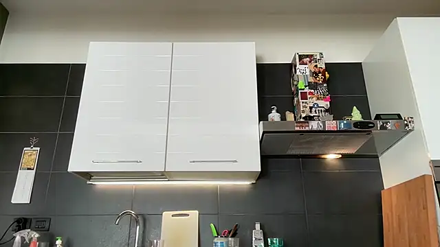 theitalianbear webcam