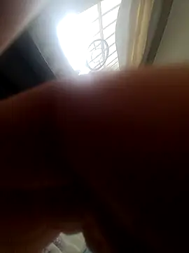 bch1045