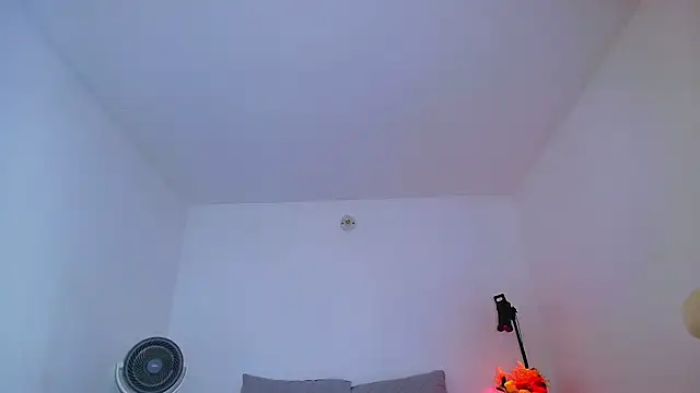 SARA_TS_FOX webcam