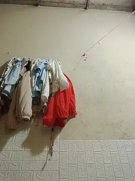 Sana-vn webcam
