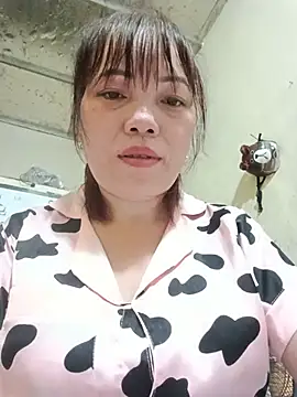 Sana-vn webcam
