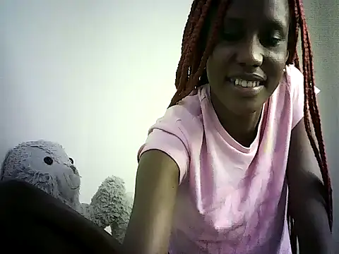 DelteAfriq webcam
