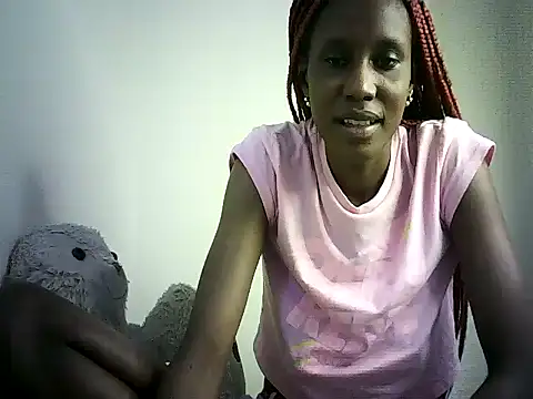 DelteAfriq webcam
