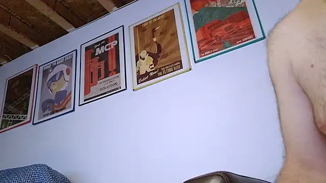 WangDoodle webcam