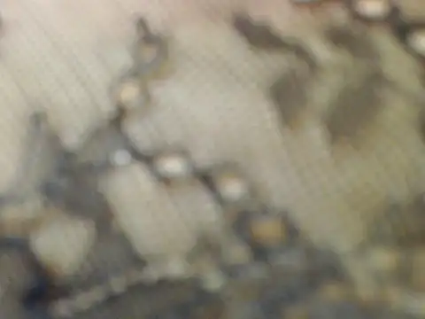LAvender_18 webcam