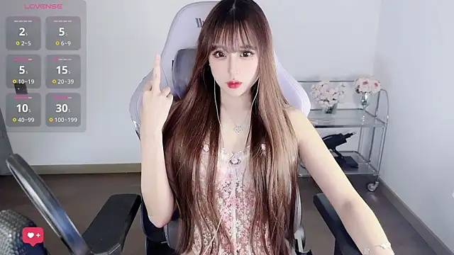 Toyotu_ webcam