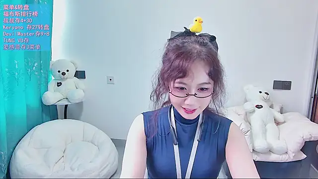 swie111 webcam