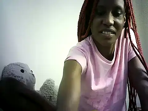 DelteAfriq webcam