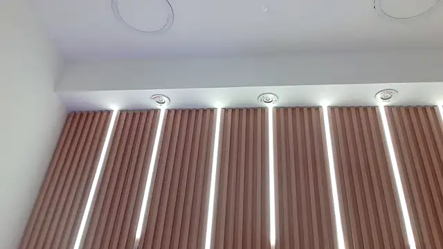 Daniel_Sterling webcam