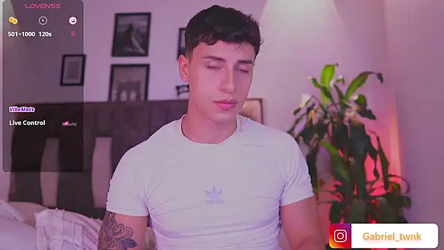 I_Gabriel webcam