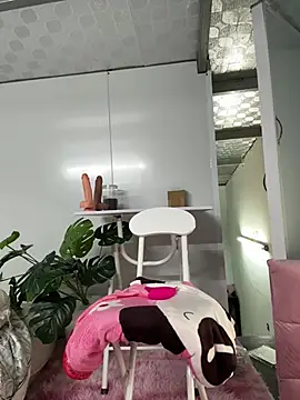 Nana-19 webcam