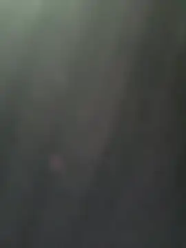 daaqnn webcam