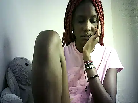 DelteAfriq webcam