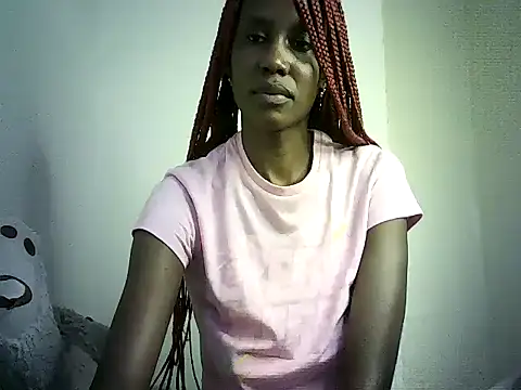 DelteAfriq webcam