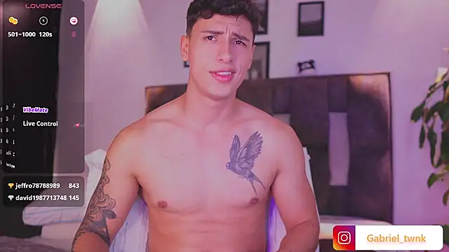 I_Gabriel webcam