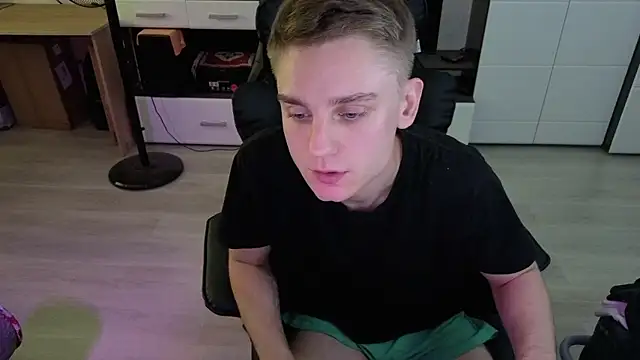 pvlpstvy webcam