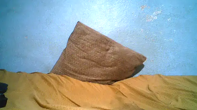 little__joy webcam