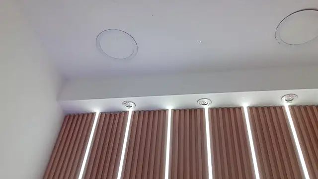 Daniel_Sterling webcam