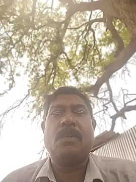 ApposedBearingtamilnadu webcam