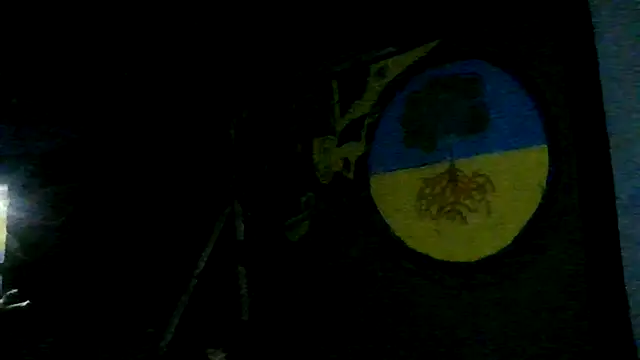 Wero4200 webcam