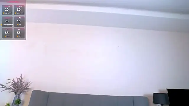 Erectioneering webcam
