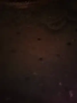 Swirly_blac webcam
