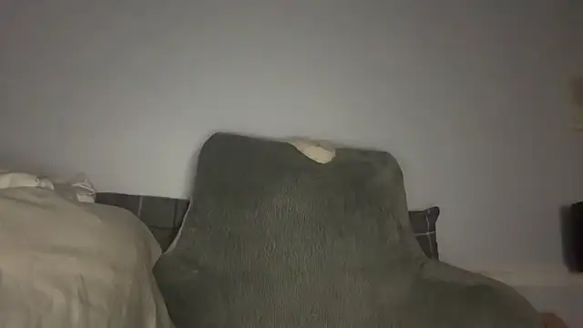 lokii webcam