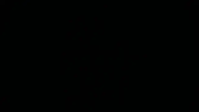 sofi__18_ webcam