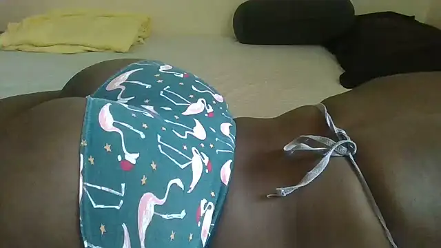 AssMatic_ webcam