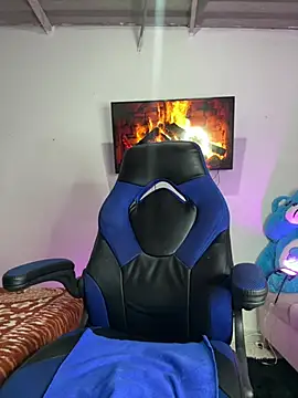 soee_18 webcam
