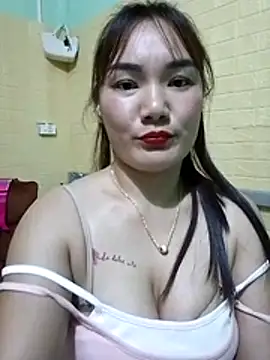 Voiva11 webcam