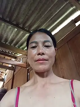 Lily-ly webcam