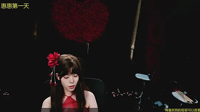 Huihui---- webcam