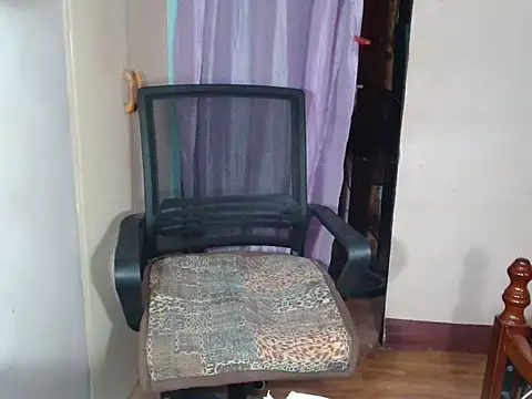 Modelo: Ms_SexretaryCockTs