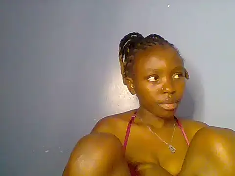 Chocolate-brownie webcam