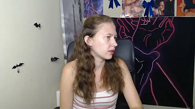 StellaCRL webcam