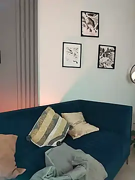 evazul webcam