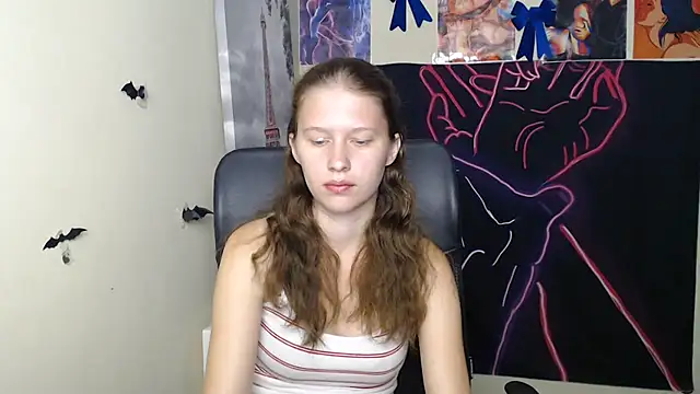 StellaCRL webcam