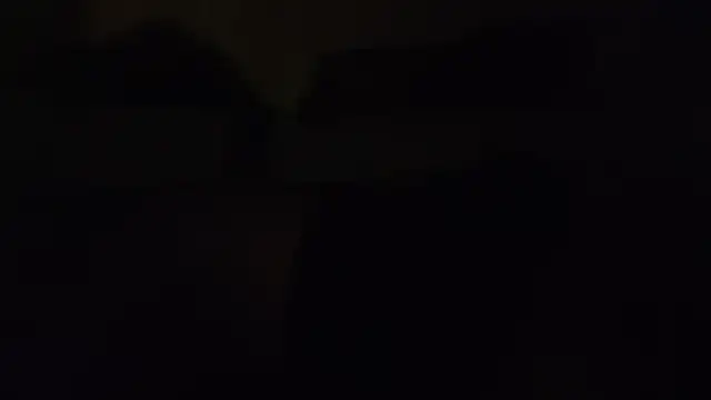 ZeldaSneakyLink webcam