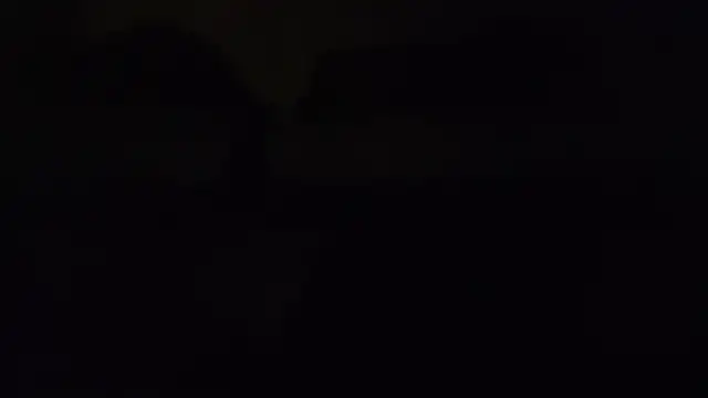 ZeldaSneakyLink webcam