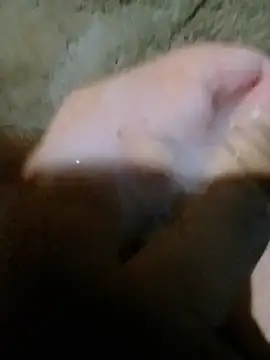 alee28728 webcam