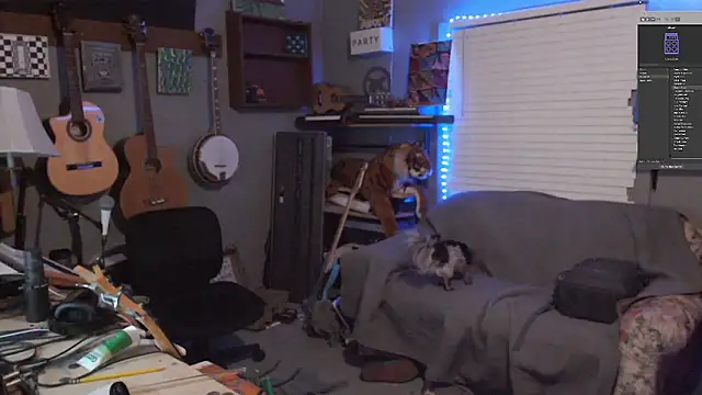 itsjameswebbscope webcam
