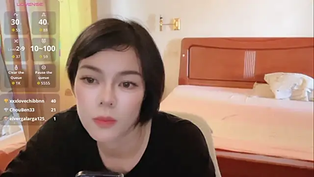 Linda-LL webcam